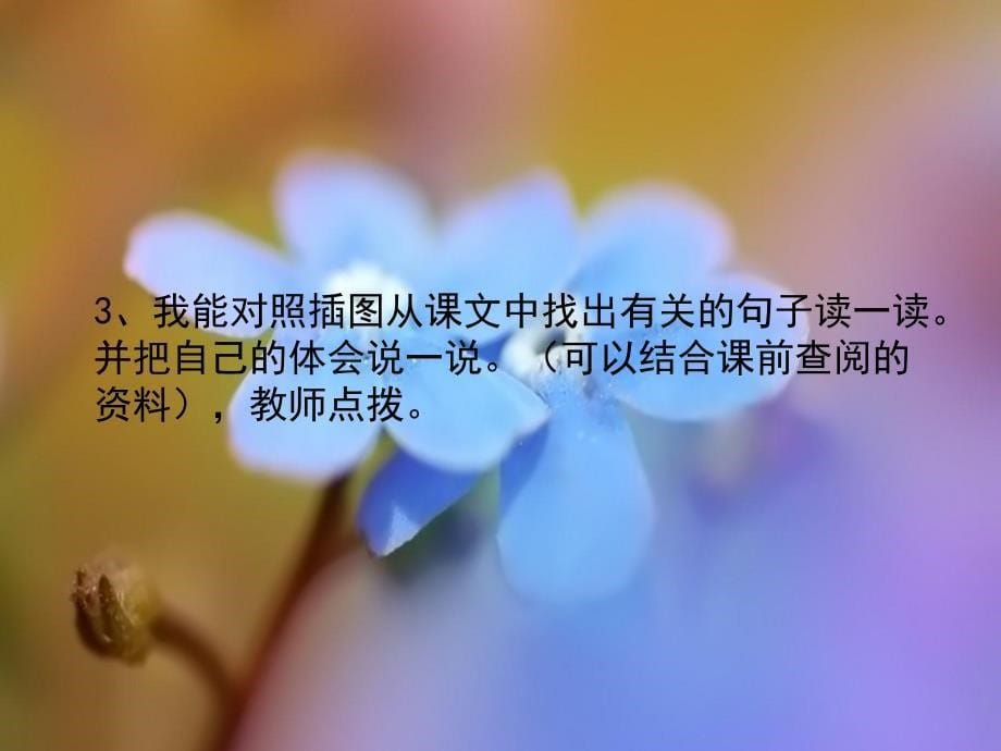 美丽的集邮册_第5页