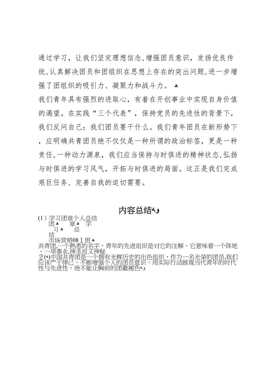 学习团章个人总结_第5页