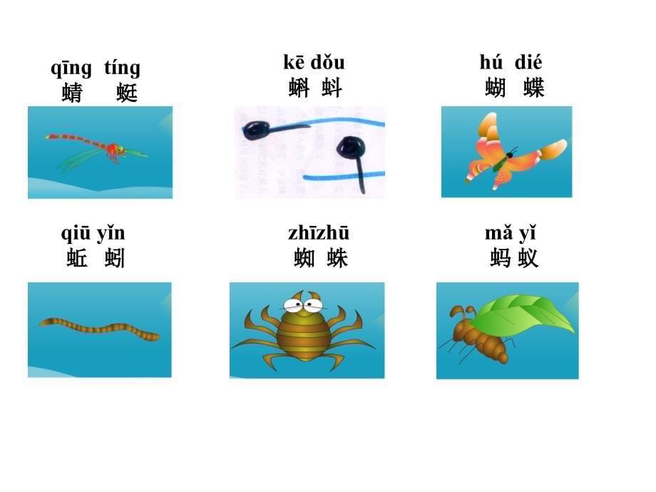 语文一年级下册《识字四》PPT课件_第5页