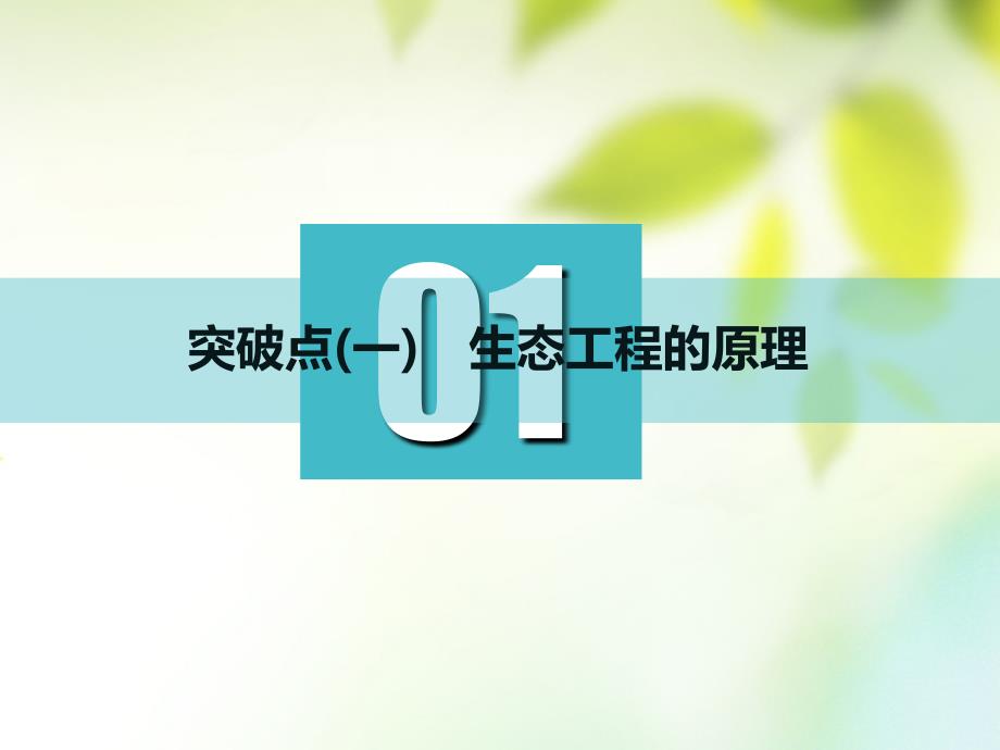 （全国通用版）2019版高考生物一轮复习 选考部分 现代生物科技专题 第4讲 生态工程课件_第2页