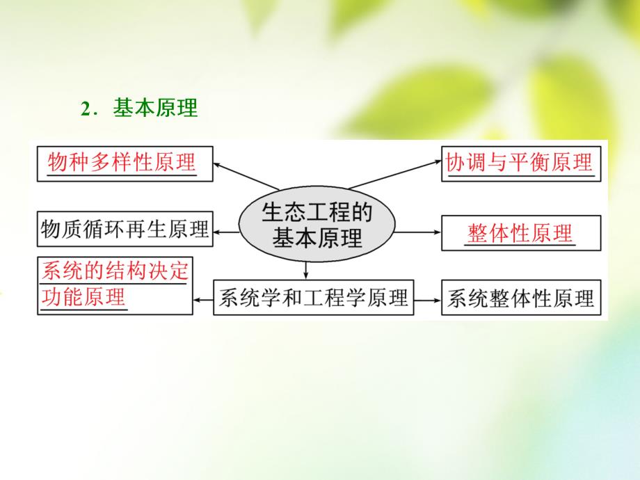 （全国通用版）2019版高考生物一轮复习 选考部分 现代生物科技专题 第4讲 生态工程课件_第4页