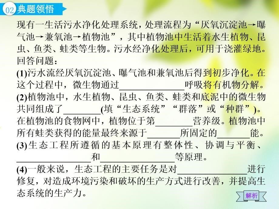 （全国通用版）2019版高考生物一轮复习 选考部分 现代生物科技专题 第4讲 生态工程课件_第5页