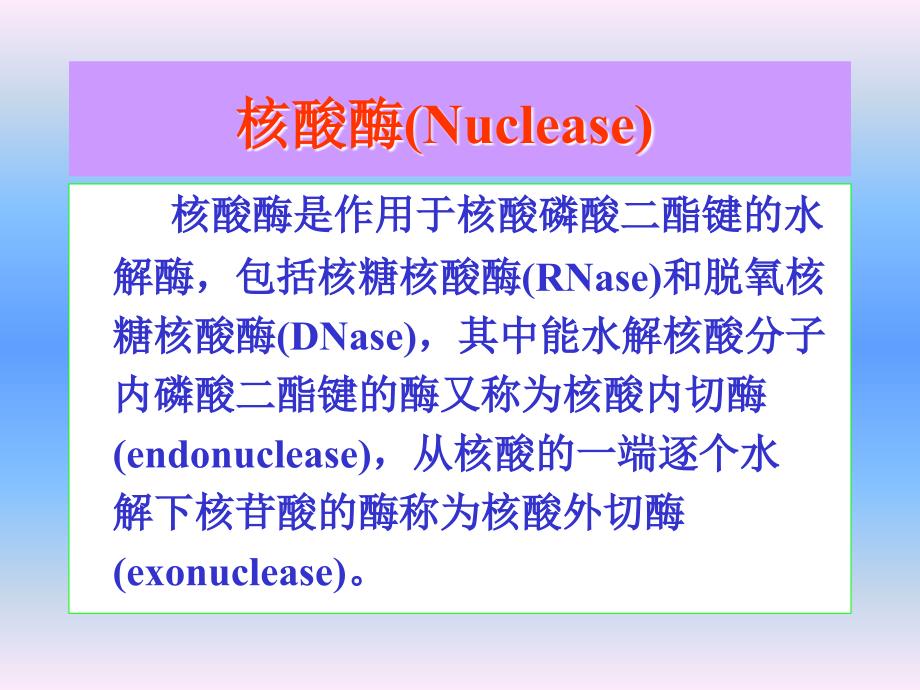 第六章核酸降解与核苷酸代谢_第4页