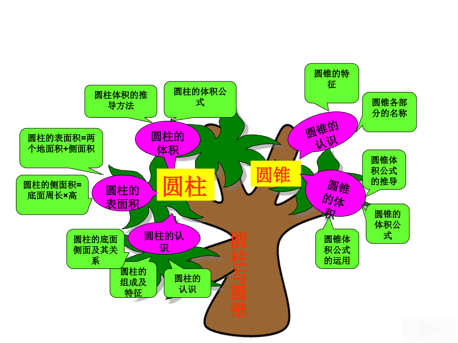 圆柱和圆锥知识树安彩永_第1页