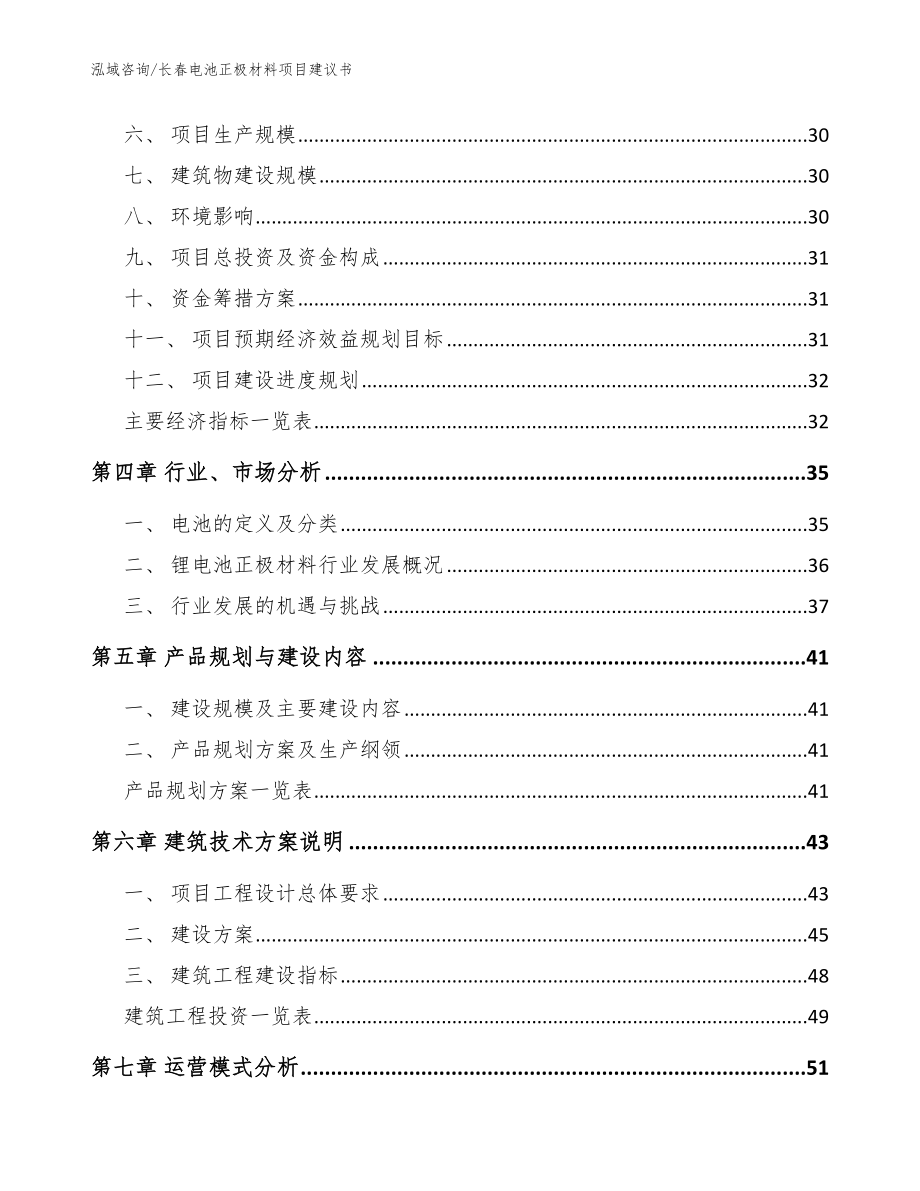 长春电池正极材料项目建议书（模板参考）_第2页