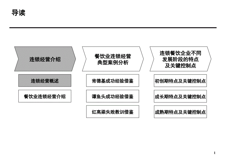 某公司连锁经营分析报告_第2页