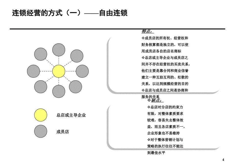 某公司连锁经营分析报告_第5页