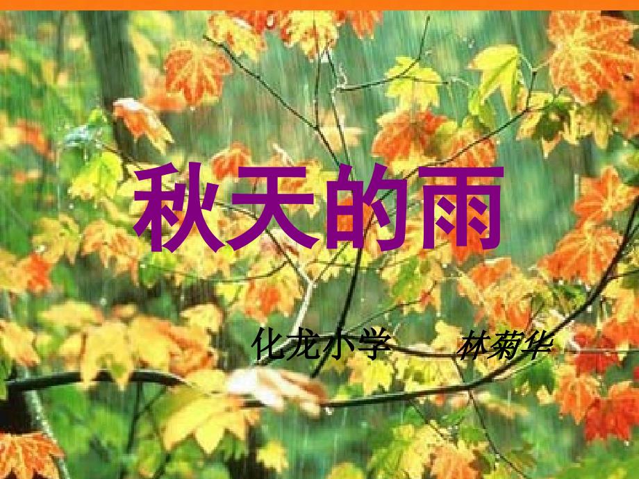 11课天的雨PPT_第1页