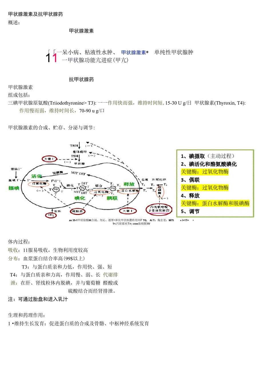 药理学笔记整理_第1页