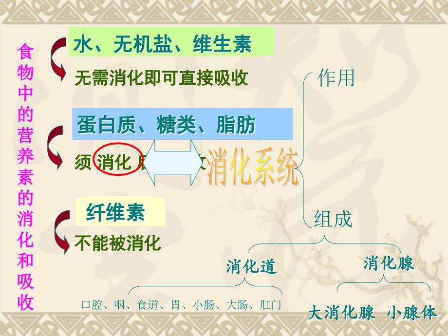 医学专题：济南出版社---消化与吸收-(1)_第3页