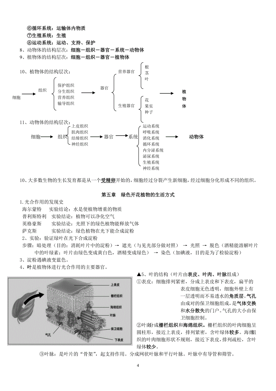 北师大版七年级上册生物复习提纲_第4页