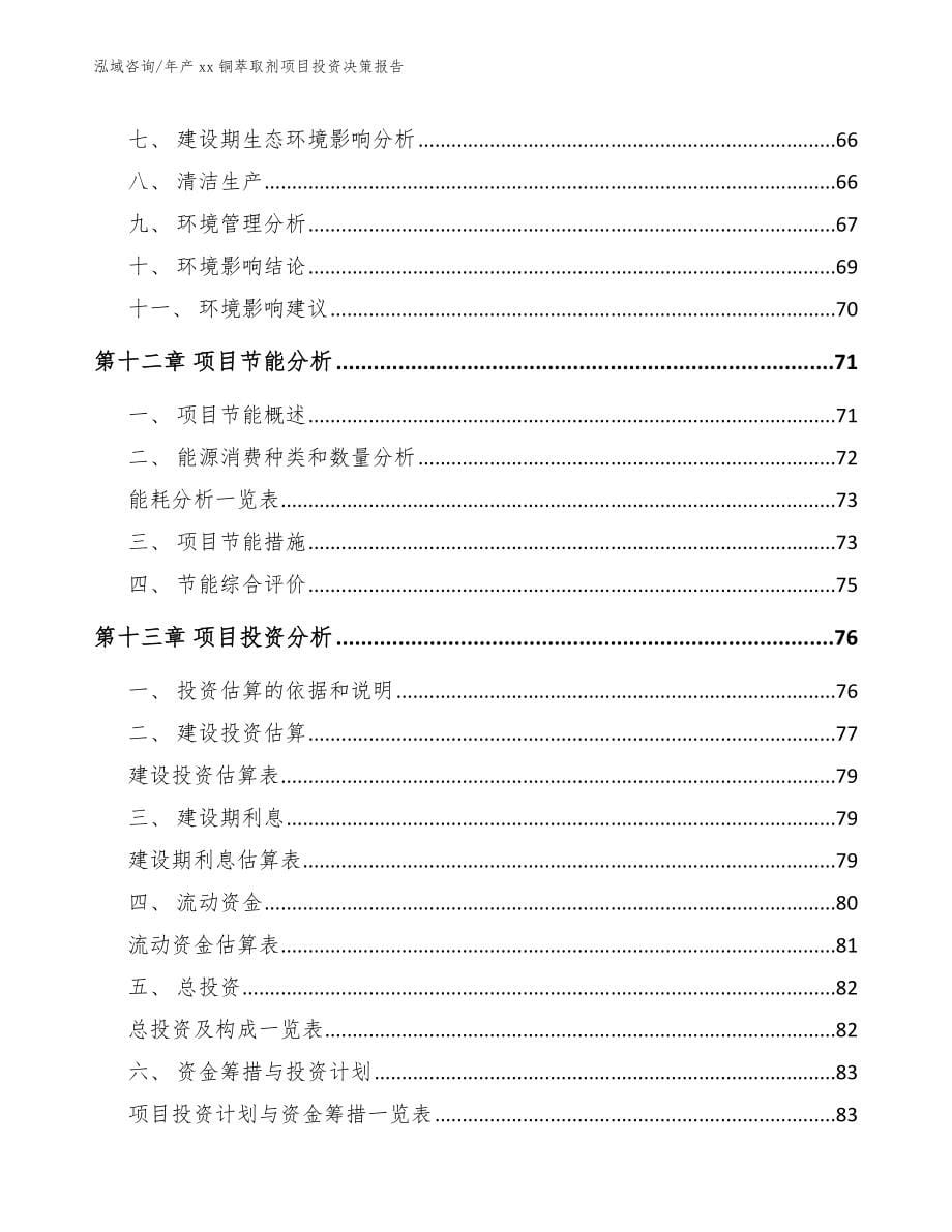 年产xx铜萃取剂项目投资决策报告【范文】_第5页