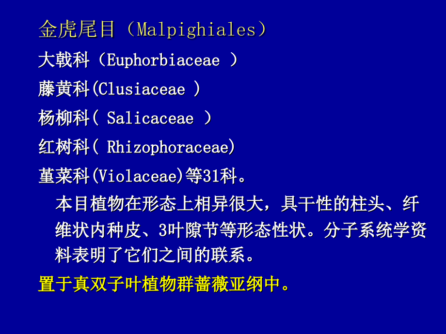 植物学课程课件：核心双子叶植物_第3页