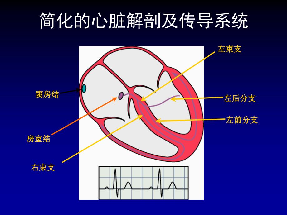 恶性心律失常的急诊药物治疗_第3页