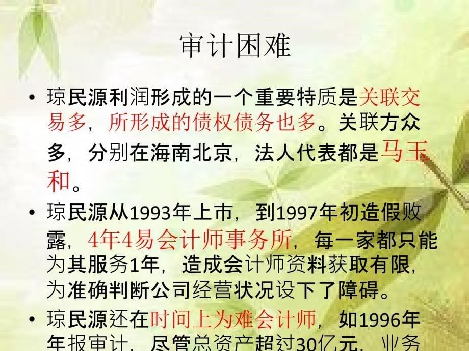 琼民源审计案例分析_第5页