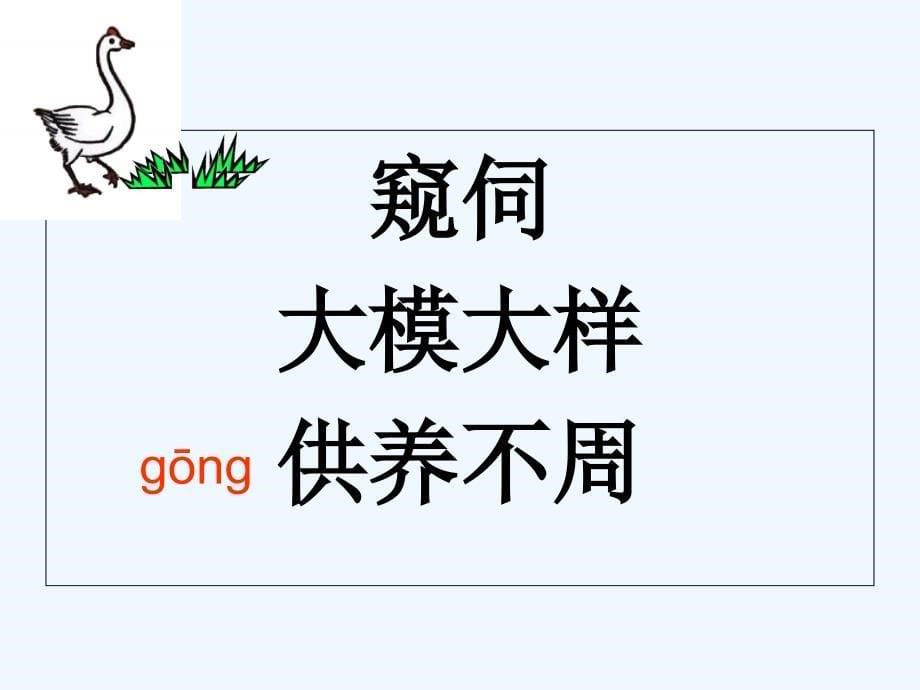 人教版四年级上册13.白鹅第一课时_第5页