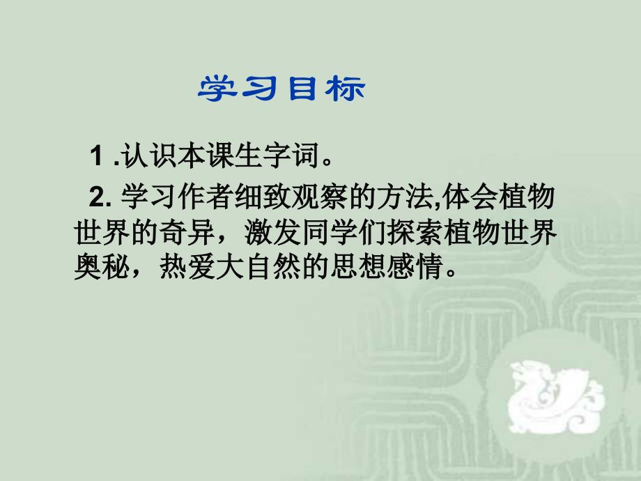 语文S版三年级语文下册奇异的植物世界课件_第2页