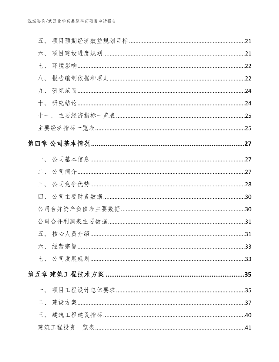 武汉化学药品原料药项目申请报告（模板范本）_第3页