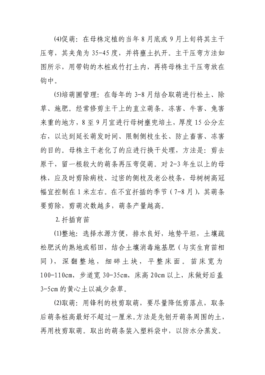 陈山红心杉优良特性和栽培技术.doc_第4页