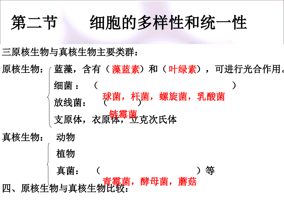 走近细胞复习1课件_第5页