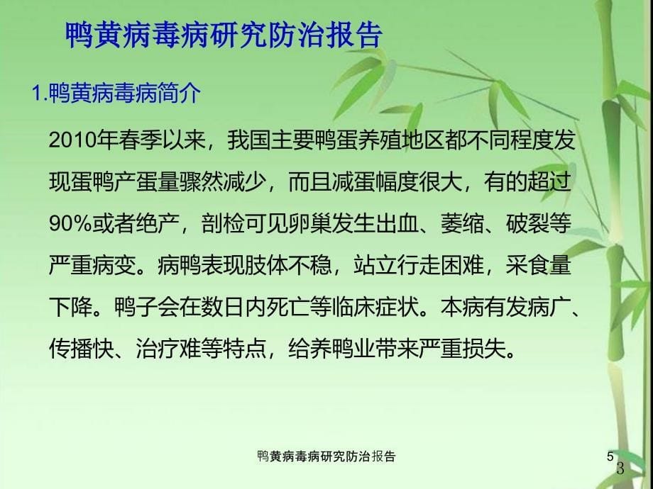 鸭黄病毒病研究防治报告课件_第5页