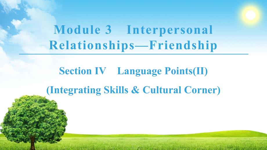 Module3SectionLanguagePoints_第1页