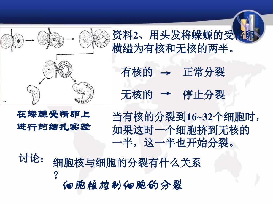 必修133细胞核_第4页