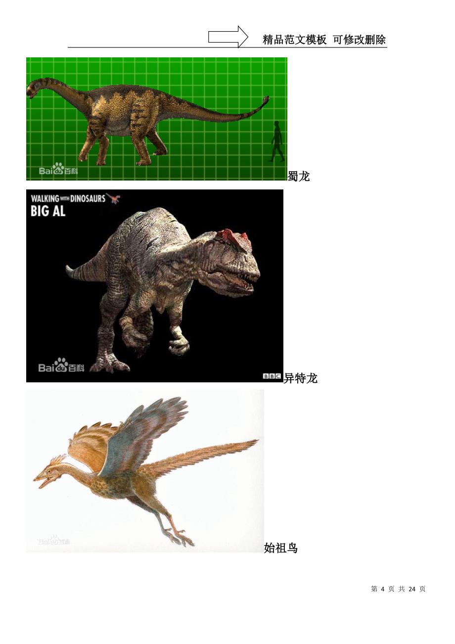 最全恐龙名字以及图片_第4页