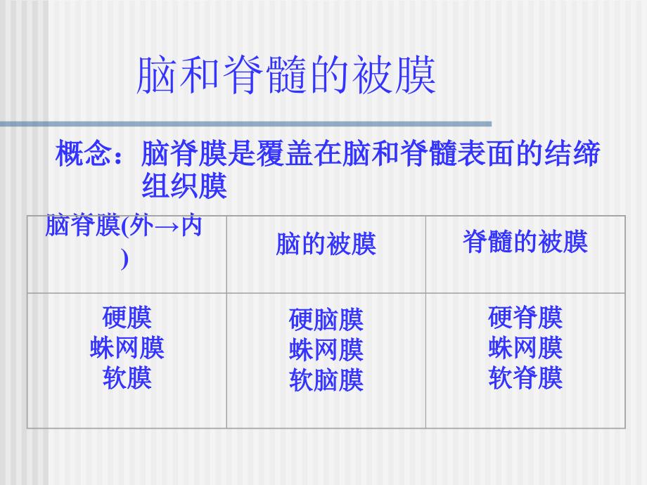 cns被膜和血管_第3页