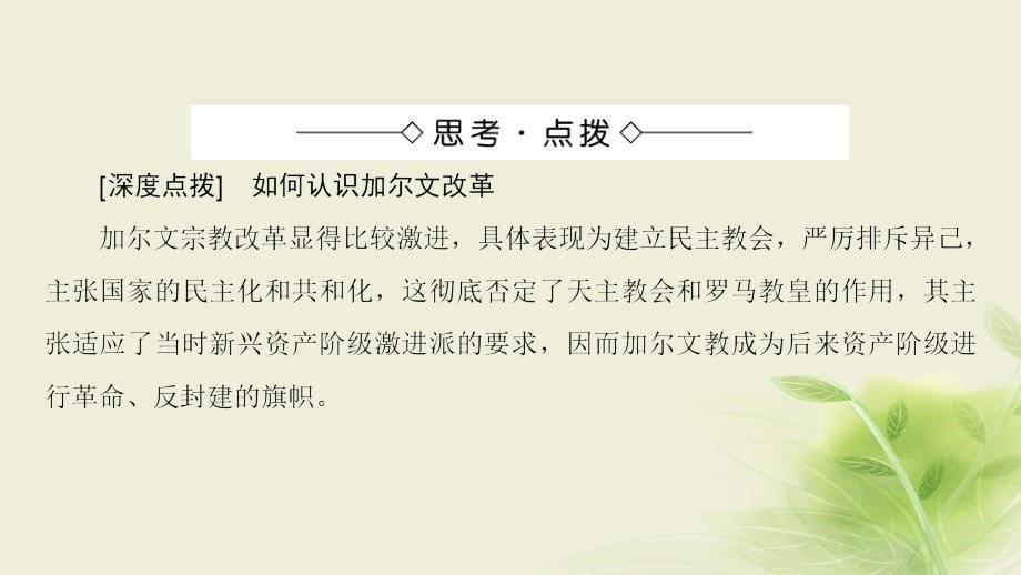 高中历史第五章欧洲宗教改革3欧洲宗教改革的发展课件北师大版选修_第5页