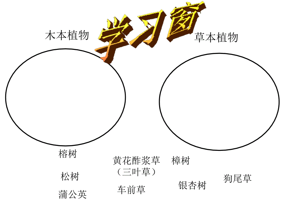 教科版科学三年级上册第一二单元复习_第4页