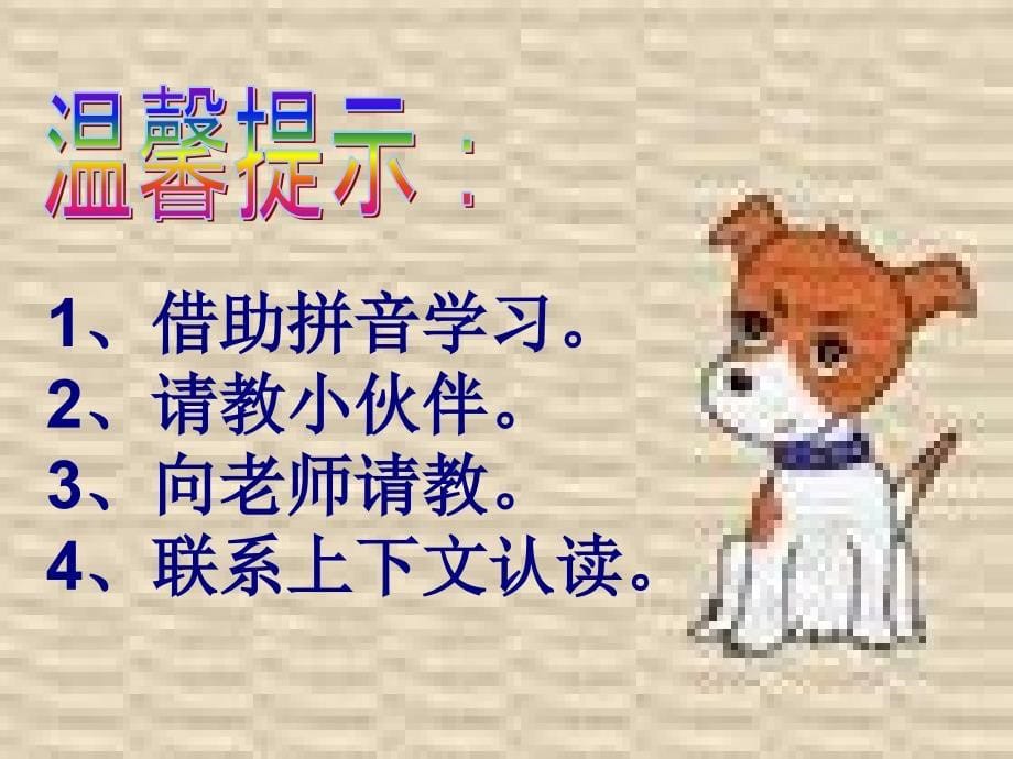 想飞的乌龟教学课件_第5页