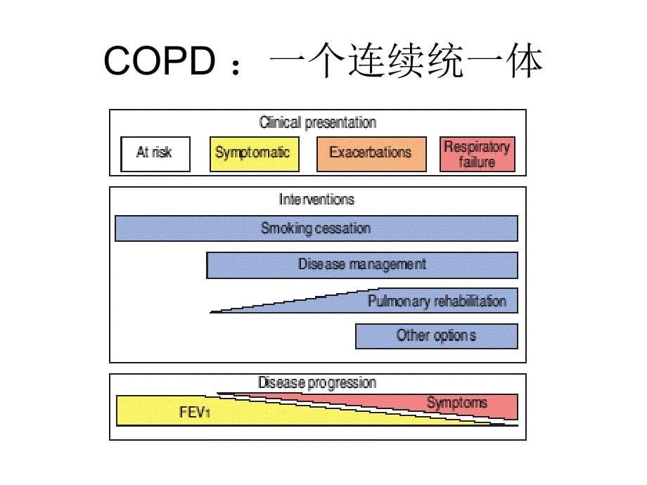 copd的诊断和治疗PPT课件_第5页