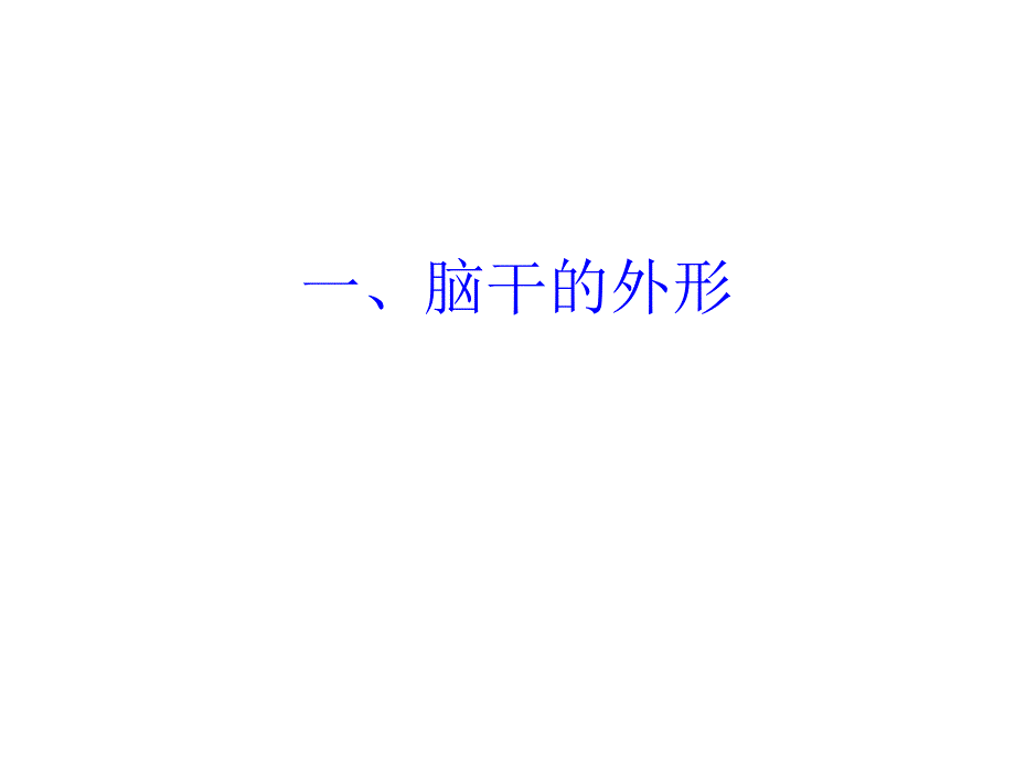 脑干【人体解剖】_第3页