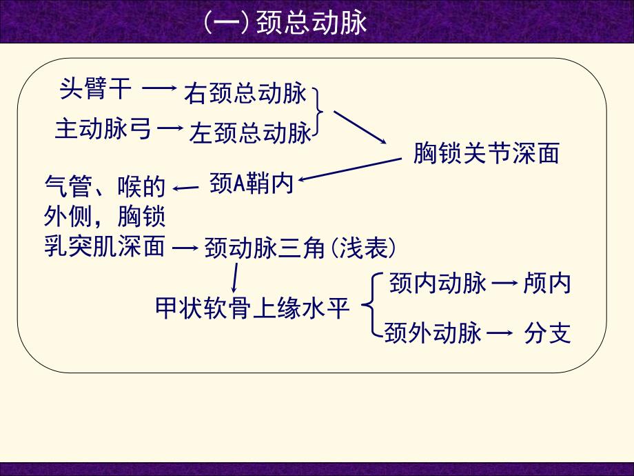 口腔和面部解剖学-头颈部血管课件_第4页