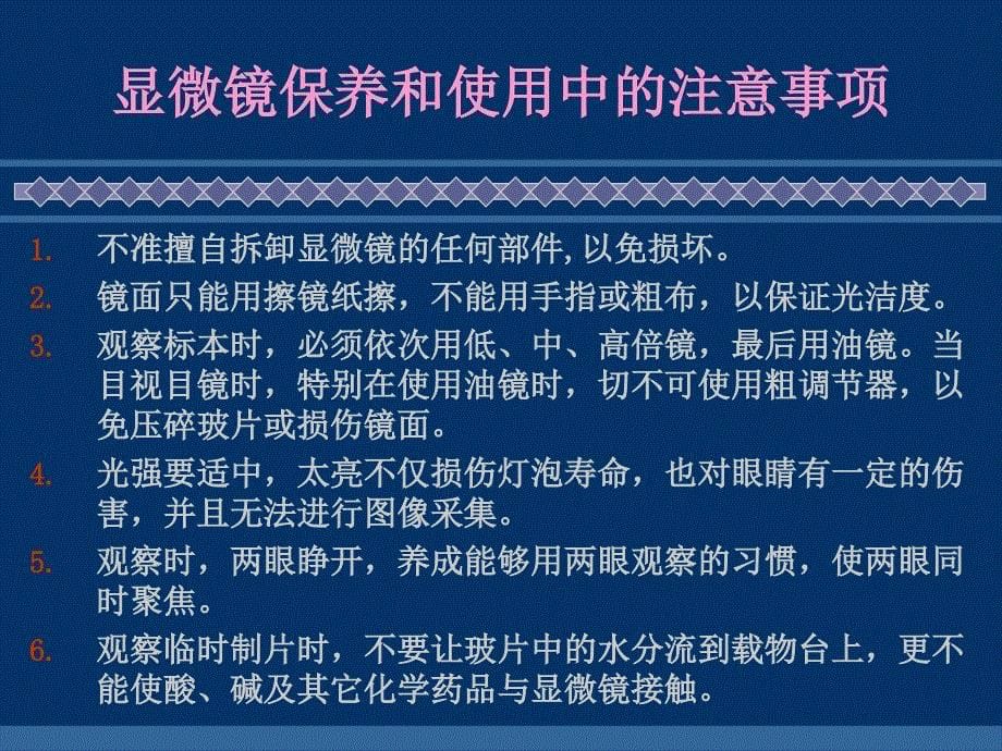 掌握简单染色法和革兰氏染色法的原理及操作步骤ppt课件_第5页