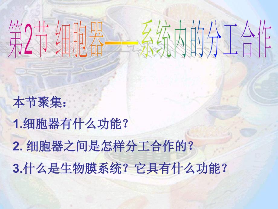 课件范例之细胞器.ppt_第1页