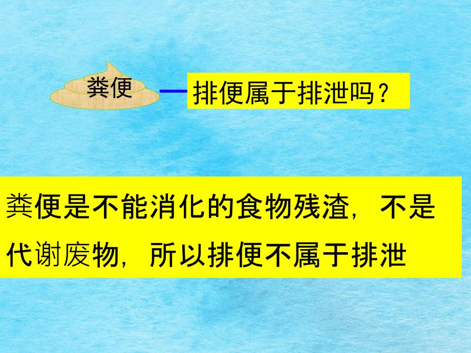 生物第四章尿的形成和排出ppt课件_第3页