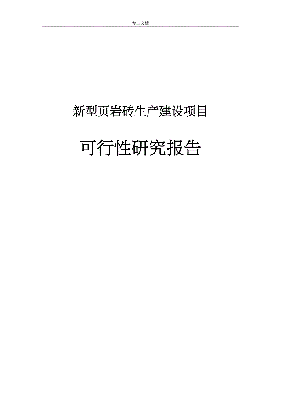 新型页岩砖生产建设项目可行性研究报告(DOC 50页)_第1页