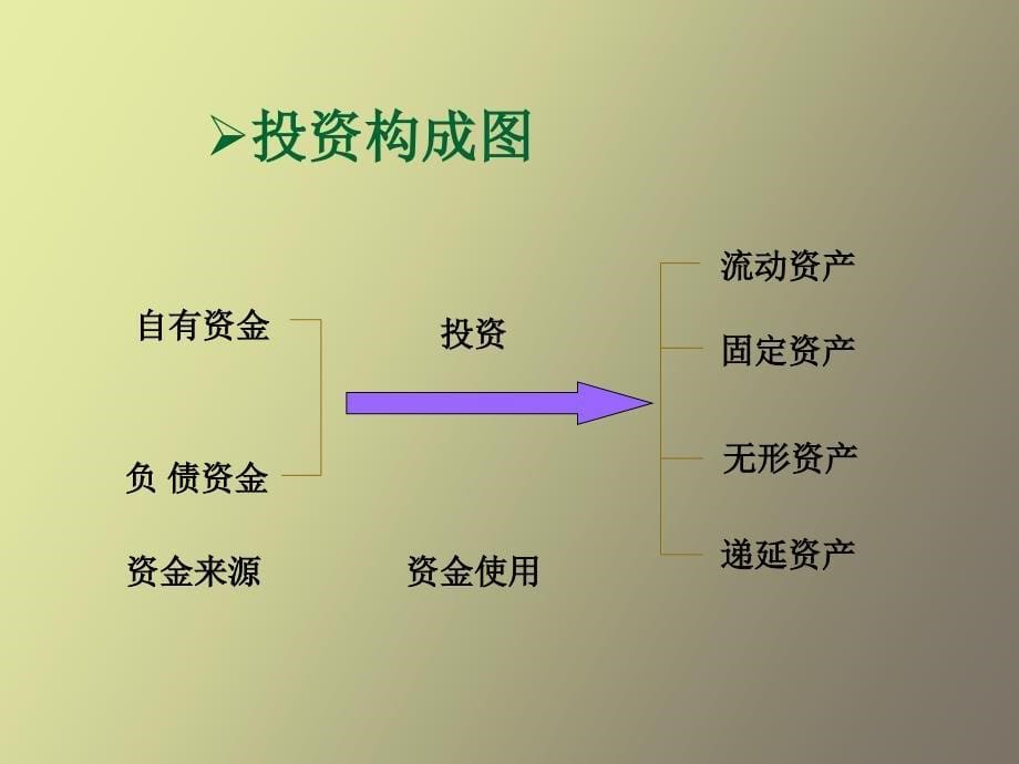 投资项目评价基本要素_第5页