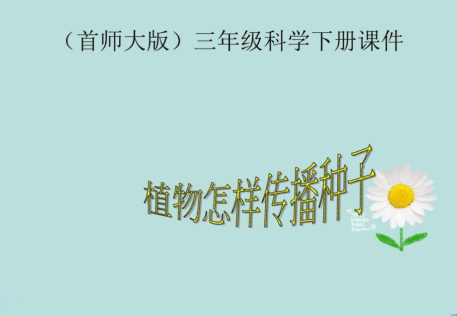 三年级科学下册植物怎样传播种子2课件首师大版_第1页