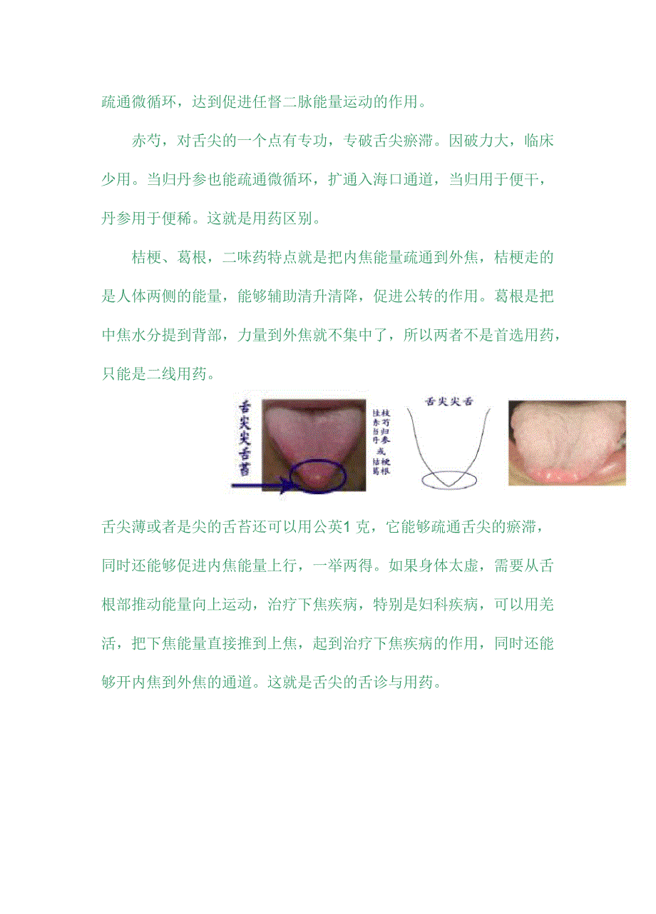 舌诊与中药临床应用_第2页