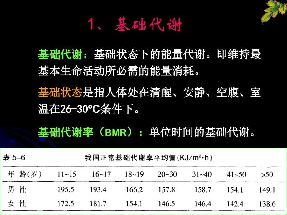 第六章能量平衡_第5页