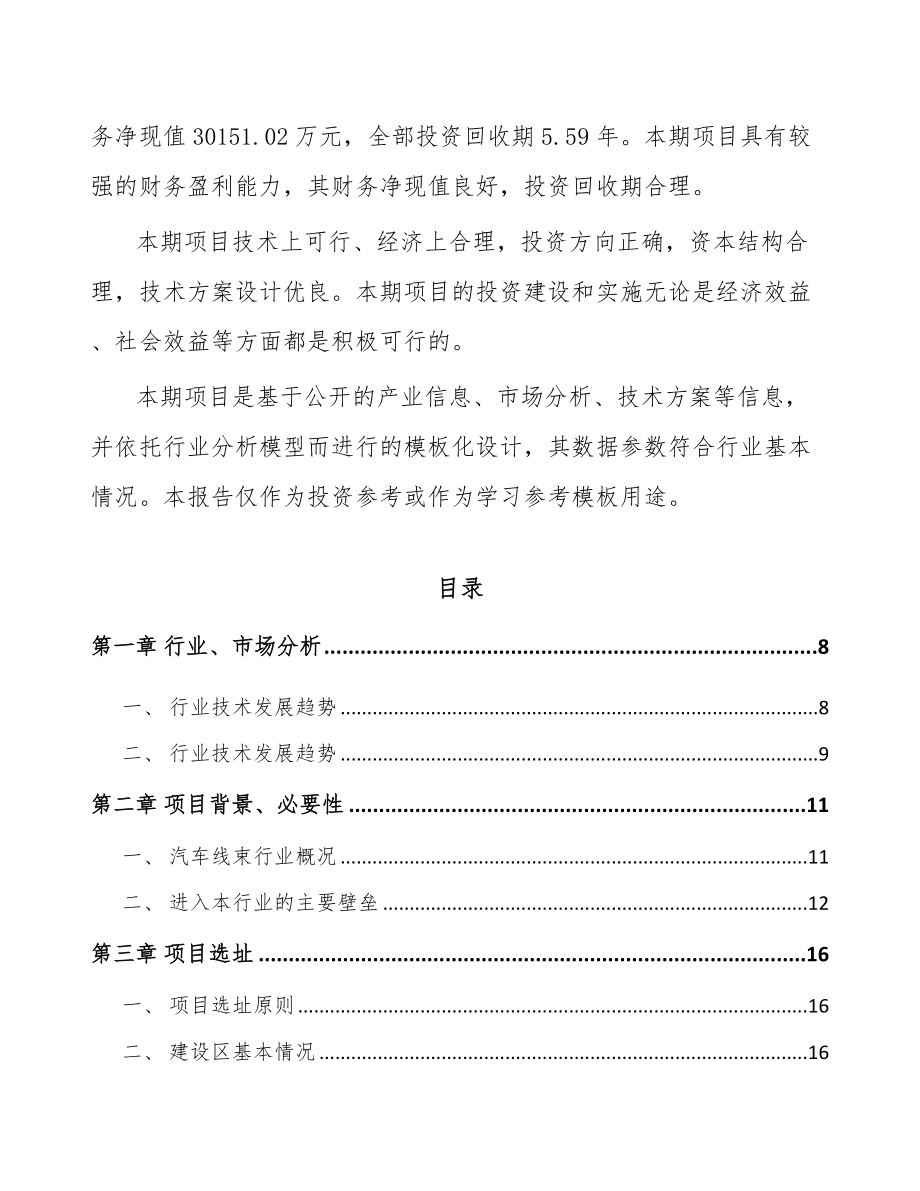 温州线束组件项目可行性研究报告_第3页