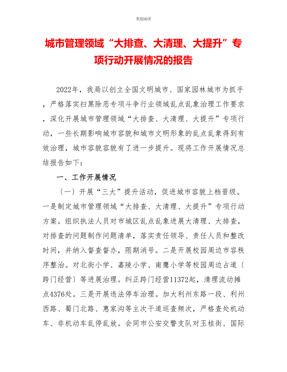 城市管理领域“大排查、大清理、大提升”专项行动开展情况的报告_第1页