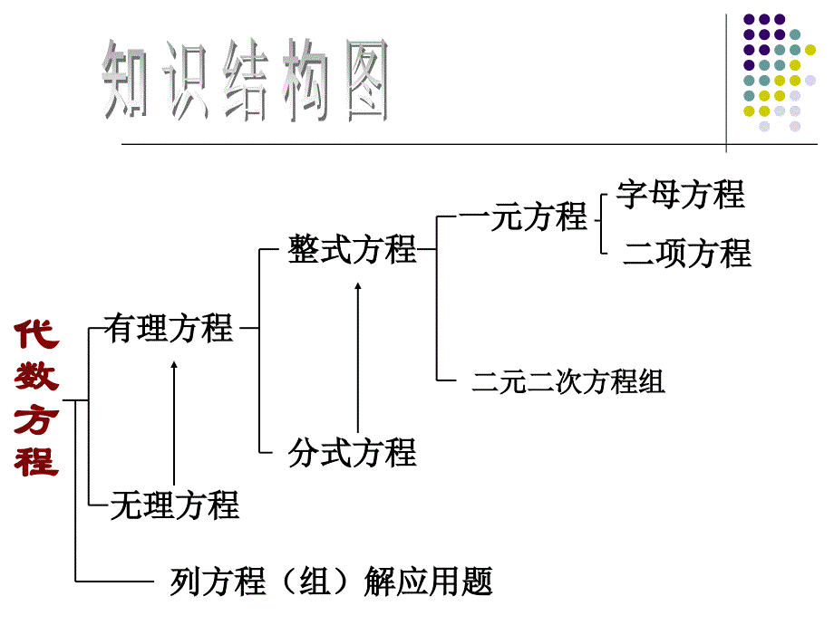 第二十一章代数方程复习课件_第2页