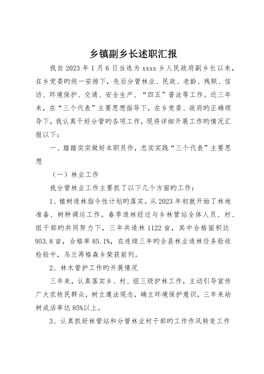 乡镇副乡长述职报告__第1页