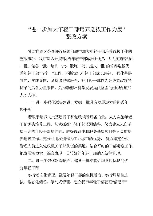 进一步加大年轻干部培养选拔工作力度
