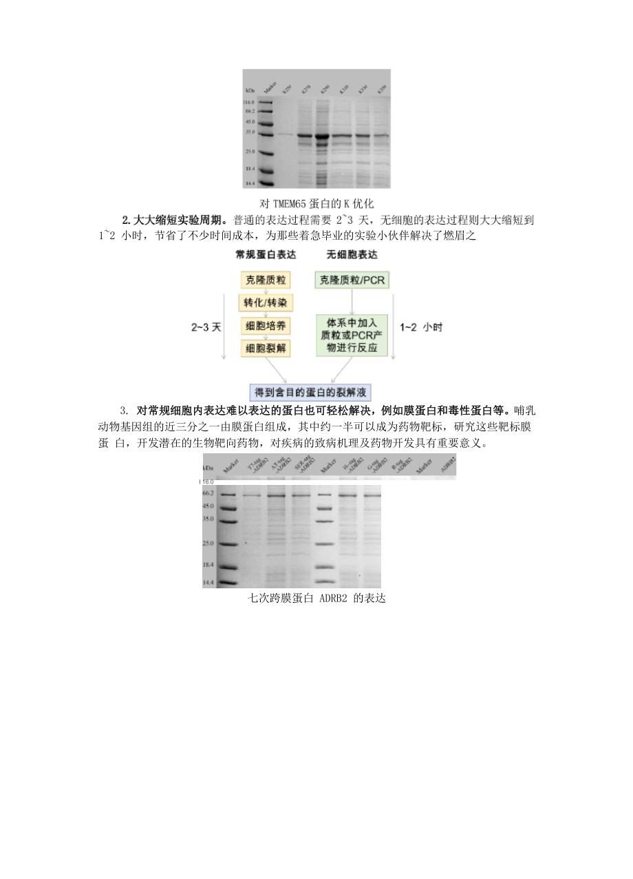 无细胞表达系统的发展及优势介绍_第2页