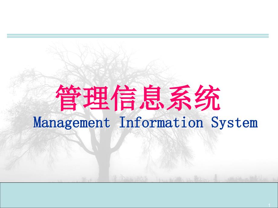 管理信息系统ManagementInformationSystem课件_第1页